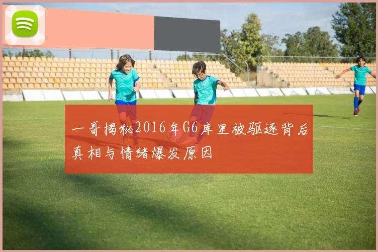 一哥揭秘2016年G6库里被驱逐背后真相与情绪爆发原因